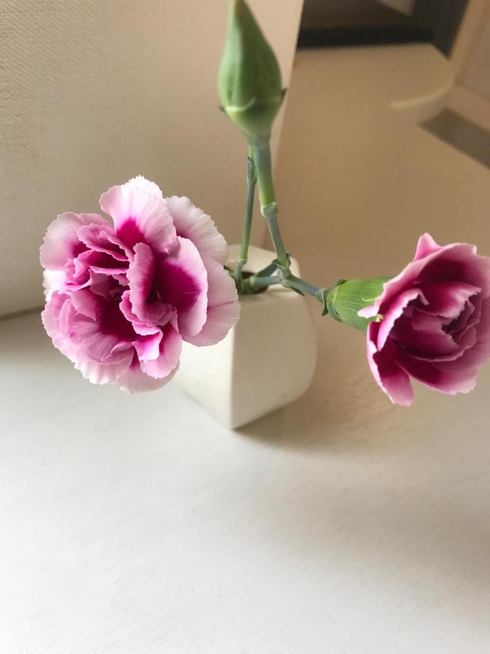 호텔 심바시 삼바칸 도쿄 외부 사진
